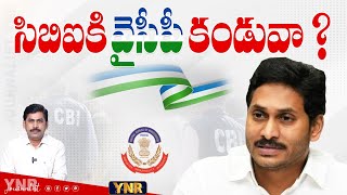 సీబీఐకి వైసీపీ కండువా .! | YS Jagan cases | CBI | Raghurama Krishnam Raju | Journalist YNR