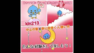 【kin213】マヤ暦に合わせるだけでうまくいく！中心の音✖️赤い空歩く人/赤い月