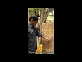 reading the 1440ce inscription at the domlur chokkanathaswamy temple