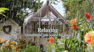 Heavy rain sounds in the greenhouse and cottage garden ASMR 1 hour 🌧️ 🌧️