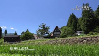 [富山]夏の五箇山・相倉合掌造り集落[UHD4K顔声曲無] - Summer scenery of Gokayama