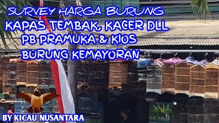 Survey Harga Burung Di Pasar Burung Patra Eps 1 Music Jinni