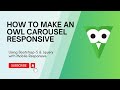 How to make an owl carousel responsive