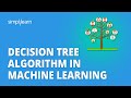 Decision Tree Algorithm In Machine Learning | Decision Tree In Machine Learning | Simplilearn