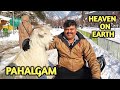 Date with Bul-Bul, buffet breakfast & dinner | Day 3 in Kashmir | Salem SS Travel