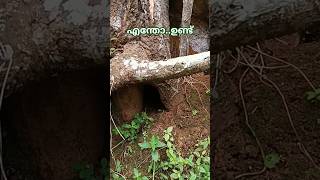 ഉള്ളിൽ എന്തോ ഉള്ള പോലെ..#shortvideo #youtubeshorts ####shorts