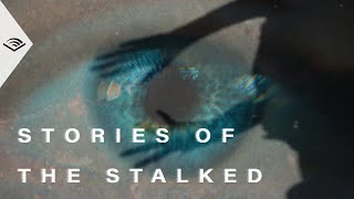 What does it feel like to be stalked? Stories of the Stalked has the answer.