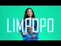 Makhadzi ft Mr Bow X Master Kg Type Beat 2025