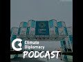 episode 45 cop29 debrief where do we stand on climate finance action and peace