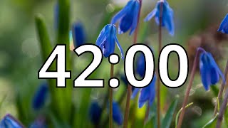 42 Minutes Timer with Music | Spring Timer