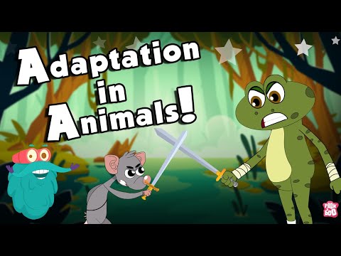 Why is it important for organisms to adapt to their environment?
