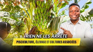 Tout pousse au Burkina Faso 🇧🇫 (preuve réelle)