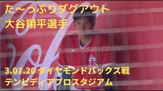 3.07.20 ダグアウトで試合を見つめる【大谷翔平選手】Shohei Ohtani Dugout vs Diamondbacks 2020 Spring Training Game