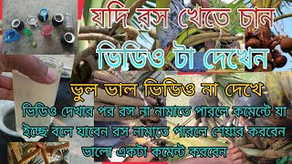 তাল গাছ ঝোরার ভিডিও।কিভাবে তাল গাচ থেকে রস নামাতে হয়। জট ওয়ালা তাল গাছ ঝোরা দেখুন। জট ওয়ালা তাল