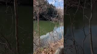 震生湖＠神奈川県秦野市　　今年で100年　　関東大震災でできた湖　地球🌏の声を聴いてみた！