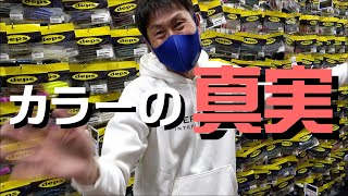 【カラーの真実】～カラーで迷った時に見る動画～釣具屋でもう迷わない！