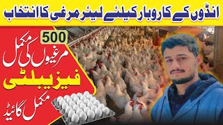 Layer Poultry Farming in Pakistan || 500 Layers Hens Feasibility in Explain || Taj Business Academy