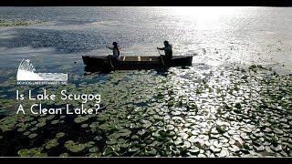 Is Lake Scugog A Clean Lake?