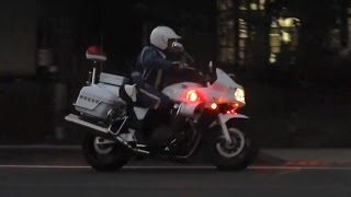 静岡県警察交通機動隊 CB1300P