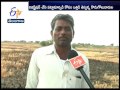 illegal land allotment sangareddy