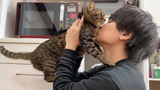 イケメンにキスをされて女の顔になるメス猫