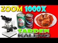 ZOOM 1000X SARDEN KALENG APAKAH ADA CACINGNYA?