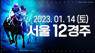 (서울) 2023.01.14 12경주 읭????? 리월마야? 원더풀키티야???