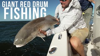 Giant Red Drum Fishing in Pamlico Sound: Battling Rough Weather with Capt. Richard Andrews