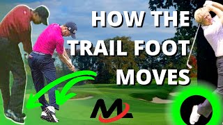 The Best Way To Move Trail Foot In Golf Swing | Milo Lines Golf