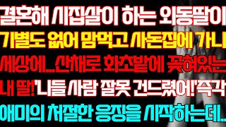 [반전 실화사연] 결혼해 시집살이 하는 외동딸이 기별도 없어 맘먹고 사돈집에 가니 세상에 화초밭에 있는 내딸 니들 사람 잘못 건드렸어 즉각 애미의 응징을 시작하는데/신청사연/사연