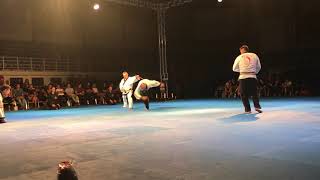 Hwal Moo Do.Martial Arts demonstration