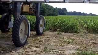 High Clearance seeding of cover crop into seed corn