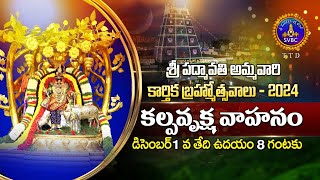 Sri Padmavathiammavari Karthika Brahmotsavalu || Kalpavriksha Vahanam || 01-12-2024 || SVBC TTD