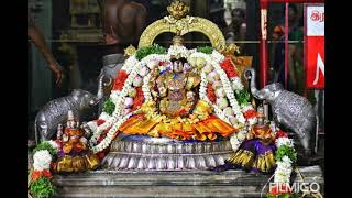 sri vidhya rajagopala swami temple , raaja mannaargudi, thiruvarur dt, tamil nadu