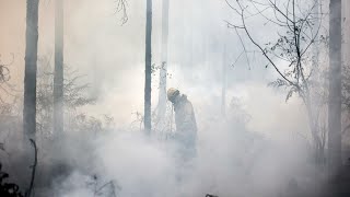 Rainfall raises hopes for respite from French wildfires • FRANCE 24 English