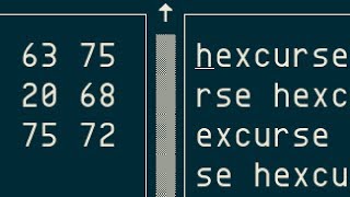 Hexcurse: ncurses hex editor