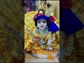 Shri laddu Gopal song