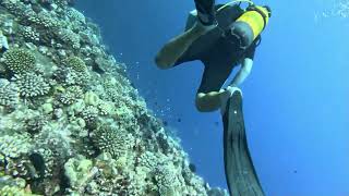 Diving Faille St Etiene with Santa, Papeete Tahiti