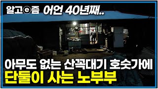 40년 전 전기도 없는 오지 산속에 온 노부부.. 사람이 살지 않는 호숫가 옆 직접 집 짓고 자급자족하며 살다 보니 친구 같은 70대가 된 부부│한국기행│알고e즘