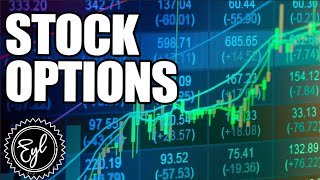 HOW TO USE STOCK OPTIONS IN YOUR PORTFOLIO