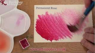 Winsor \u0026 Newton Cotman paint Permanent Rose 502