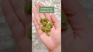 Cardamom can change your life | #vastu #positivity #cardamon #astrology #sprituality #prosperity |