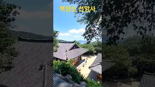 1분 사찰 여행 ⛰️ 부산 백양산 선암사 천년고찰