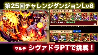 【パズドラ】第25回チャレンジダンジョンLv 8 シヴァドラPT マルチ