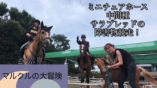 【狭山事業所】カドリール＆マルクルショー