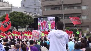 湘南よさこい祭り2019「湘南森本連」