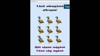 எத்தனை வாத்து irukku friends#like and subscribe#fun#relax #thinking#shorts