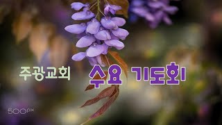 2024년 12월 11일 수요 성경공부 " 내 군대 내 백성 " 김성렬 목사