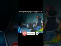 swampert is a busted op pokemon pokemongocommunityday