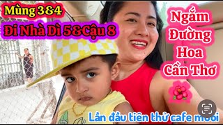 430| Mùng 3\u00264 Đi Nhà Dì 5\u0026Cậu 8 Ngắm Đường Hoa Cần Thơ|Ranveer Thân Thiết Với Bé Gái?Thử Cafe muối